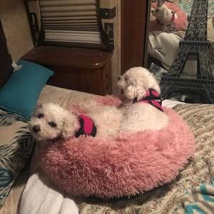 Meet your Posher, Val